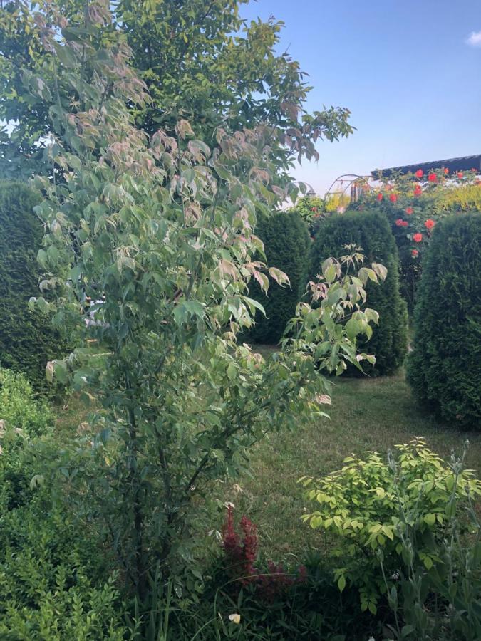 Rezydencja Lux Rewa Exteriör bild